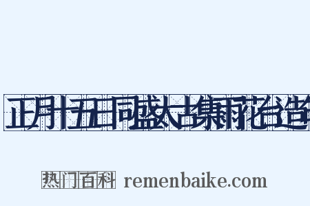 正月十五日同盛太古集雨花台造句是什么意思的图片
